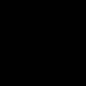 Looking for MCM backpack. Must be legit.